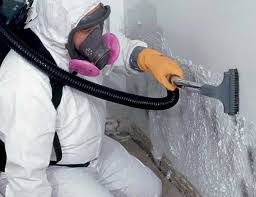 Best Mold Remediation for Healthcare Facilities  in Medulla, FL